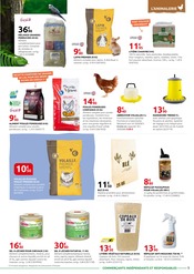 Promos Lapin dans le catalogue "ARRIVAGE" de Rural Master Lapin en promo dans le catalogue Rural Master à la page 9