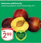 Nektarinen gelbfleischig im Angebot bei GLOBUS in Oberhausen Nektarinen gelbfleischig Angebote bei GLOBUS Oberhausen für 2,99 €