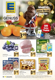 Pflanzen im E center Prospekt "Aktuelle Angebote" mit 52 Seiten (Freiburg (Breisgau))