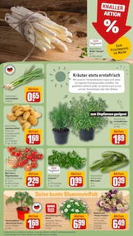 Spargel im aktuellen REWE Prospekt (Wiesbaden) Spargel im REWE Prospekt "Dein Markt" mit 18 Seiten (Wiesbaden)