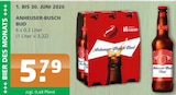 Bud bei Getränke A-Z im Templin Prospekt für 5,79 €