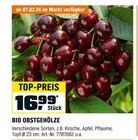 Bio Obstgehölze bei OBI im Jever Prospekt für 16,99 €