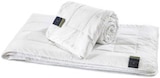 Sommerdecke von billerbeck im aktuellen XXXLutz Prospekt für 79,99 €