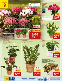 Drogerie im Netto Marken-Discount Prospekt Aktuelle Angebote auf S. 31
