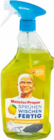 Reiniger von Meister Proper im aktuellen Netto Marken-Discount Prospekt für 2,29 €