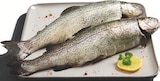 Aktuelle Forelle Angebote bei Lidl in Braunschweig Aktuelles ASC Regenbogenforelle Angebot bei Lidl in Braunschweig ab 5,00 €