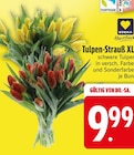 Tulpen-Strauß XL Angebote von Edeka bei EDEKA Ravensburg für 9,99 €