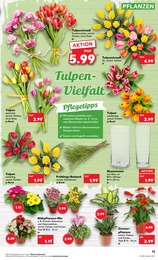 Garten Angebot & Preis im aktuellen Kaufland Prospekt Garten Angebot im aktuellen Kaufland Prospekt auf Seite 17
