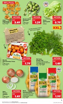 Tomaten im Kaufland Prospekt "Aktuelle Angebote" mit 54 Seiten (München)