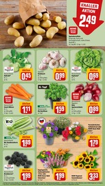 Blumen im REWE Prospekt in Bocholt Aktueller REWE Prospekt mit Blumen, "Dein Markt", Seite 5