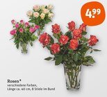 Rosen von  im aktuellen tegut Prospekt für 4,99 €