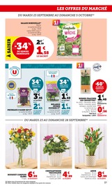 Chrysanthèmes Angebote im Prospekt "Super U" von Super U Chrysanthèmes Angebote im Prospekt "Super U" von Super U auf Seite 37