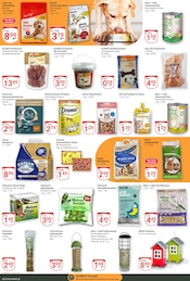 Kleidung im GLOBUS Prospekt in Siegen Aktueller GLOBUS Prospekt mit Kleidung, "Aktuelle Angebote", Seite 29