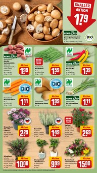 Blumen im aktuellen REWE Prospekt (Nürnberg) Blumen im REWE Prospekt "Dein Markt" mit 28 Seiten (Nürnberg)