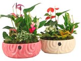 Hagebaumarkt Eitorf Prospekt mit  im Angebot für 17,99 €
