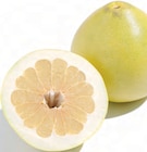 Pomelo für 1,99 € bei Netto mit dem Scottie im Angebot Pomelo im aktuellen Netto mit dem Scottie Prospekt