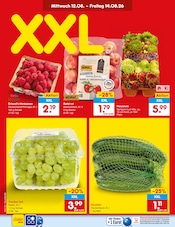 Pflanzen im Netto Marken-Discount Prospekt in Saarbrücken Aktueller Netto Marken-Discount Prospekt mit Pflanzen, "Aktuelle Angebote", Seite 3