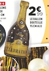 Le ballon bouteille 95 cm alu dans le catalogue Centrakor