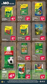 Aktueller Netto mit dem Scottie Prospekt mit Gartenerde, "Günstig. Besser. Für Dich.", Seite 26