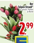 Aktuelles 8er Tulpen-Strauß Angebot bei EDEKA in Ingolstadt ab 2,99 €