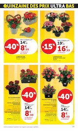 Jardinage Angebote im Prospekt "Super U" von Super U auf Seite 25