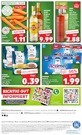 Aktueller Kaufland Prospekt mit Joghurt, "KNÜLLER", Seite 5