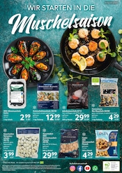 Ähnliche Scallops Angebote im Prospekt "HIER KAUFEN PROFIS & GENIESSER" von Selgros Ähnliches Angebot bei Selgros in Prospekt "HIER KAUFEN PROFIS & GENIESSER" gefunden auf Seite 24