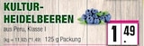 Kultur-Heidelbeeren von  im aktuellen EDEKA Prospekt für 1,49 €
