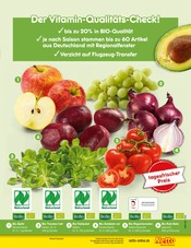 Ähnliche Bio Eis Angebote im Prospekt "Aktuelle Angebote" von Netto Marken-Discount in Magdeburg Ähnliche Angebote wie Bio Eis im Prospekt "Aktuelle Angebote" auf Seite 7 von Netto Marken-Discount in Magdeburg