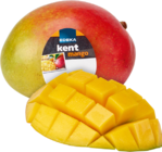 Mango Angebot in Senden Mango im aktuellen Prospekt bei E center in Senden
