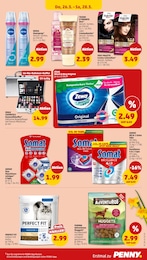 Tierbedarf Angebot & Preis im aktuellen Penny Prospekt Tierbedarf Angebot im aktuellen Penny Prospekt auf Seite 39