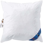 Kopfkissen im Angebot bei AWG in Eberswalde Kopfkissen Angebote von Schwarzwald bei AWG Eberswalde für 39,99 €