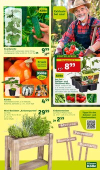 Gemüse im Pflanzen Kölle Prospekt "Gratis Pflanzaktion!" mit 18 Seiten (Berlin)