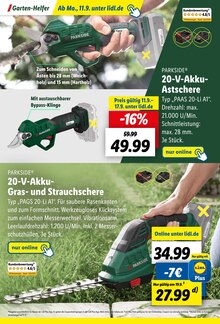 Schere Angebot im aktuellen Lidl Prospekt auf Seite 54