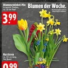 EDEKA Rheine Prospekt mit  im Angebot für 3,99 €