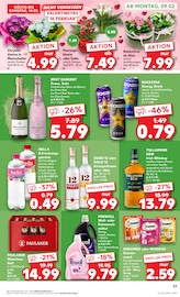 Aktueller Kaufland Prospekt mit Whiskas Katzennahrung, "Aktuelle Angebote", Seite 61