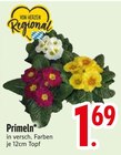 Aktuelle Pflanzen Angebote bei EDEKA in Regensburg Aktuelles Primeln Angebot bei EDEKA in Regensburg ab 1,69 €
