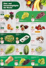 Aktueller GLOBUS Prospekt mit Salat, "Aktuelle Angebote", Seite 4