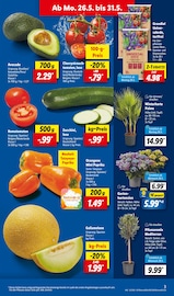 Aktueller Lidl Prospekt mit Gartenerde, "LIDL LOHNT SICH", Seite 7