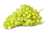 Aktuelles Helle, kernlose Tafeltrauben Angebot bei Penny in Nürnberg ab 1,49 €