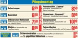 Frischemarkt Frauen Sankt Margarethen - Gastronomie Angebot im Prospekt Gastronomie bei Frischemarkt Frauen im Sankt Margarethen Prospekt für 6,50 €