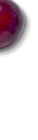 Romatomaten im Angebot bei Kaufland in Elmshorn Romatomaten Angebote bei Kaufland Elmshorn für 1,49 €
