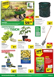 Aktueller Hagebaumarkt Prospekt mit Saatgut, "So günstig geht das!", Seite 4