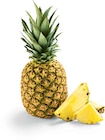 Ananas im aktuellen Netto Marken-Discount Prospekt