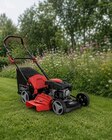 Benzinrasenmäher MS161-46 im Angebot bei Netto Marken-Discount in Stuttgart Benzinrasenmäher MS161-46 Angebote von KINZO Energy bei Netto Marken-Discount Stuttgart für 204,99 €