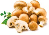 Kulturchampignons braun für 1,19 € bei Netto mit dem Scottie im Angebot Kulturchampignons braun im aktuellen Netto mit dem Scottie Prospekt