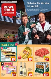 Aktueller REWE Discounter Prospekt in Lieser und Umgebung, "Dein Markt" mit 40 Seiten, 19.05.2025 - 24.05.2025