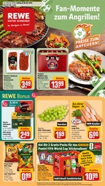 Aktueller REWE Discounter Prospekt in Ihringen und Umgebung, "Dein Markt" mit 22 Seiten, 08.06.2026 - 13.06.2026