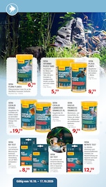 Chips im Zookauf Prospekt in Monheim Aktueller Zookauf Prospekt mit Chips, "AKTUELLE ANGEBOTE", Seite 4