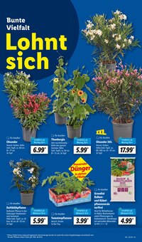 Gartenerde im aktuellen Lidl Prospekt (Saarbrücken) Gartenerde im Lidl Prospekt "LIDL LOHNT SICH" mit 61 Seiten (Saarbrücken)